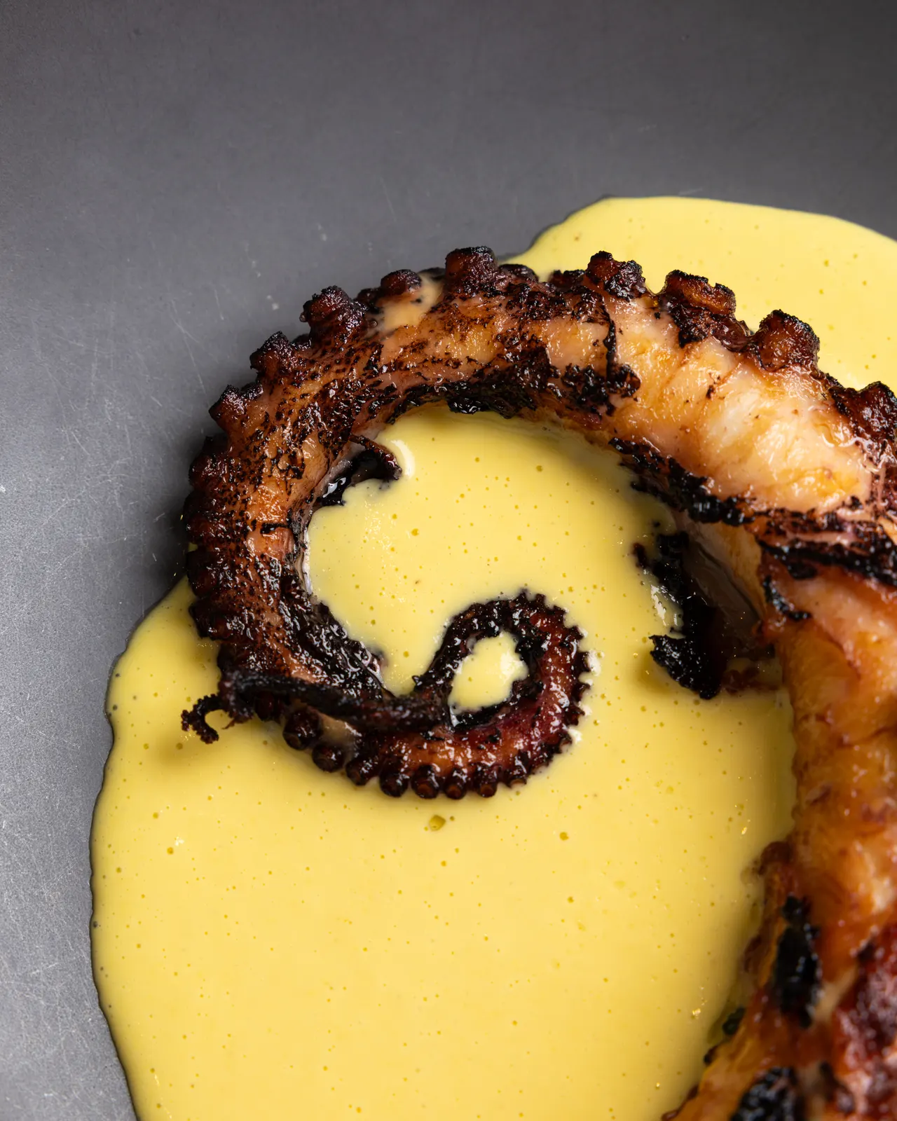Grilled octopus curled over saffron sauce on a black plate at the Hotel Valencia restaurant, Santana Row, San Jose