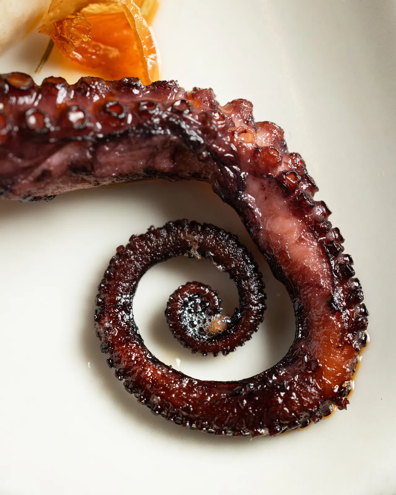 A charred octopus tentacle curled over white sauce at La Marcha, Berkeley