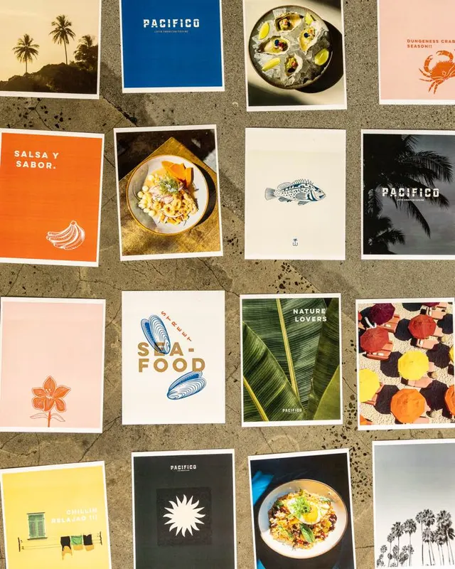 Brand print collateral flat-laid edge to edge for Pacífico, San Francisco