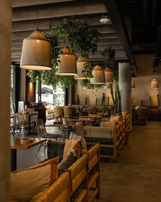 The dining room at Zazil, San Jose: canvas pendants, hanging plants and cacti over wicker banquettes