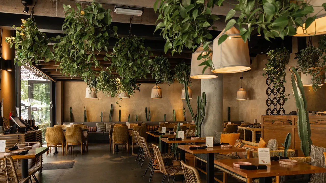 The plant-hung dining room at Zazil, San Jose: cacti along the plaster wall over wicker chairs